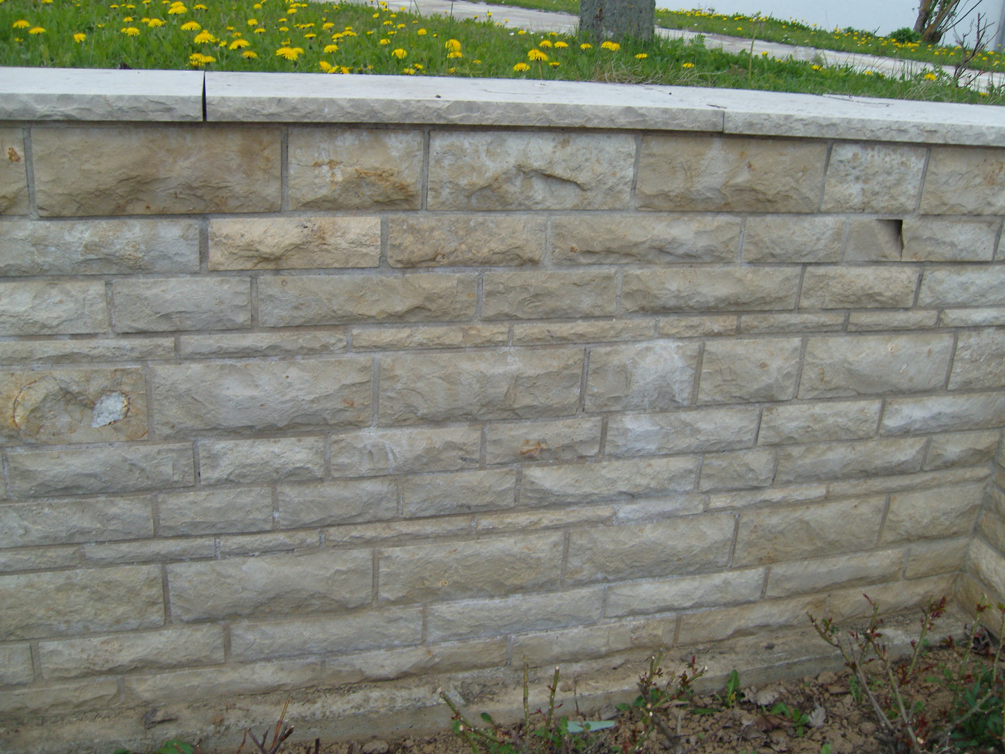 Jura Kalkstein Verblender; beige (Handmuster); SoNat 222